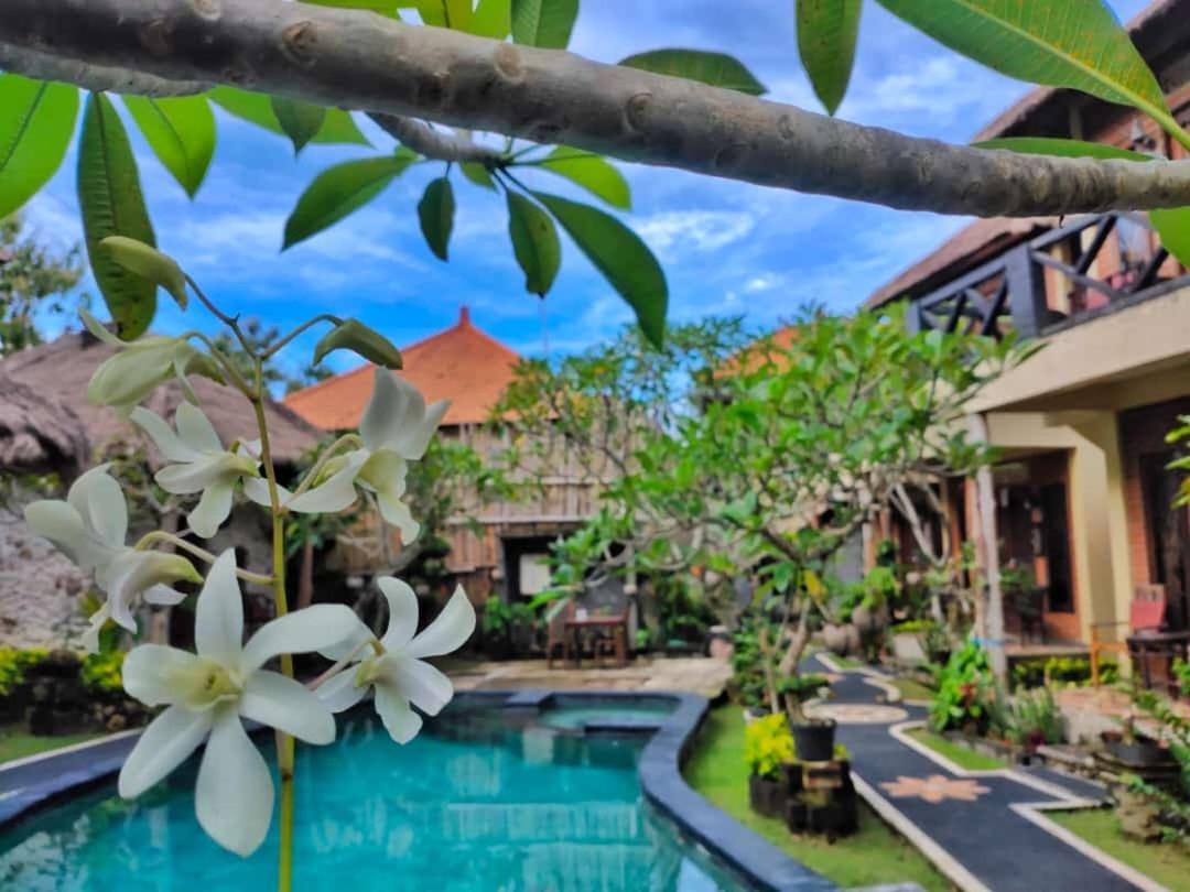 Satria Bungalow Uluwatu Eksteriør billede