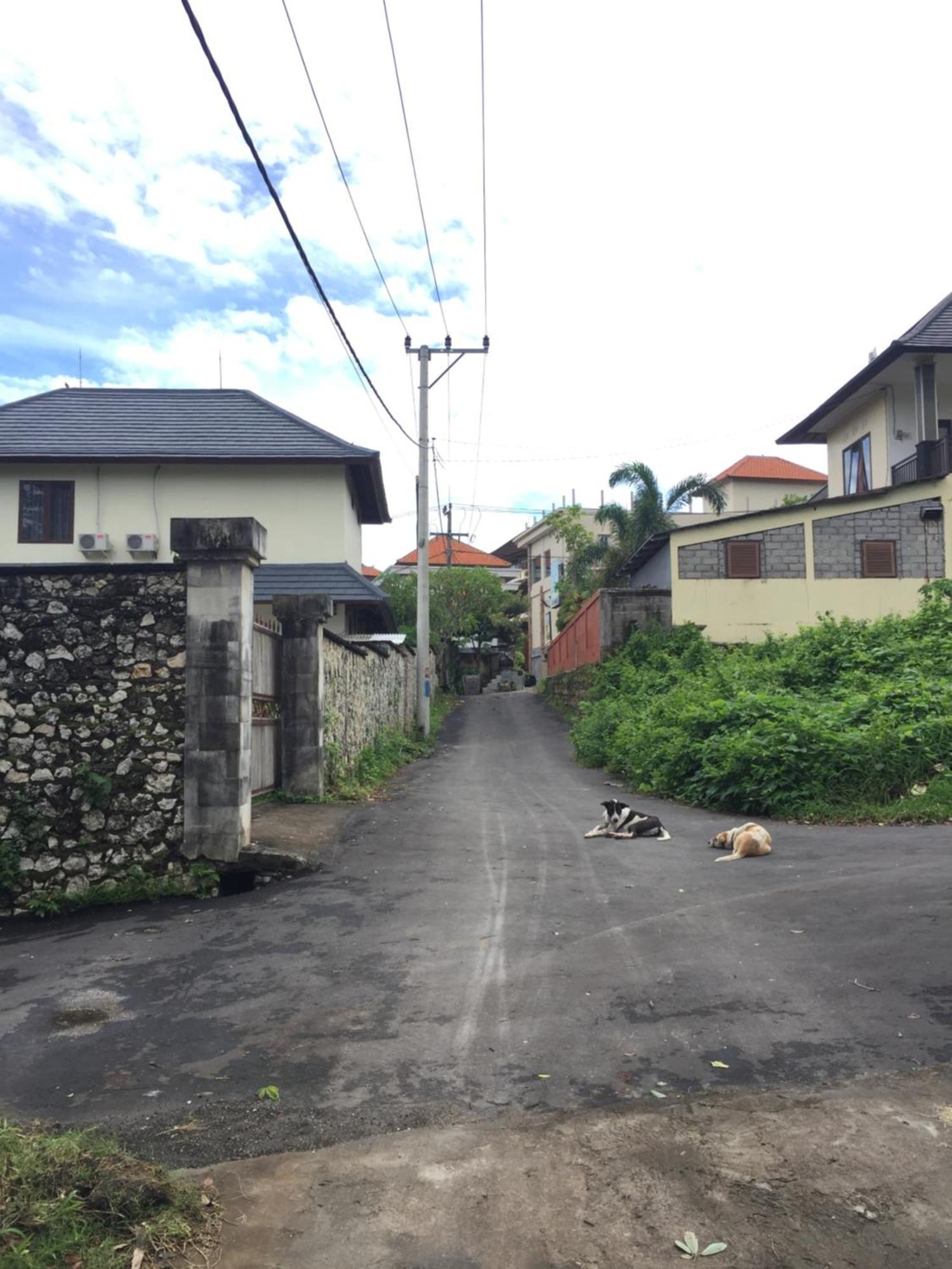 Satria Bungalow Uluwatu Eksteriør billede